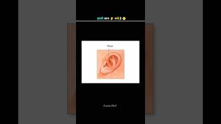 Ear Unique Shape 👂 #shorts