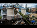 Winter storm, wind uproots trees all around Sacramento region