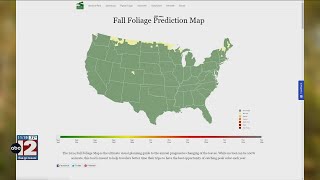 Map predicts when fall colors could peak across Michigan Guide