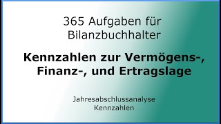 365 Exercises for Accountants (020202) - Financial Statement Analysis - VFE Ratios
