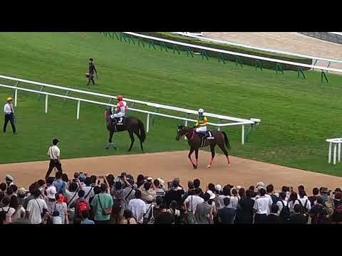 札幌競馬現地映像　コスモス賞勝ち馬エコロヴァルツ武豊20230813