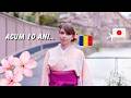 Cum era viața mea în Japonia acum 10 ani – primul meu sezon de sakura