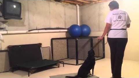 Intro to "Place" command