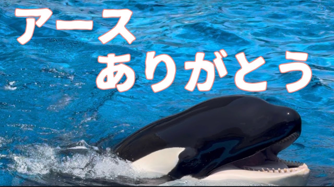 ずっと忘れない⭐️ 