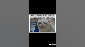 When u send a message to a friend and he goes offline suddenly 🤣🤣#shortvideos #shortsfeed #shorts