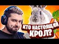 HARD PLAY СМОТРИТ ТОП МОМЕНТЫ С TWITCH ПОКАЗАЛА КРОЛИКА