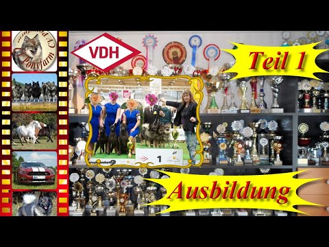 Video: Anfahrt Zur Hundeausstellung