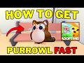 How To Get Purrowl Fast In Adopt Me Best Way To Get Purrowl In Adopt Me Roblox 