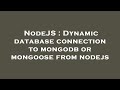 NodeJS: Dynamic MongoDB/Mongoose Connection