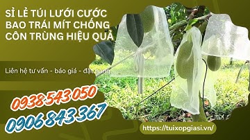 SỈ LẺ TÚI LƯỚI CƯỚC BAO TRÁI MÍT CHỐNG CÔN TRÙNG HIỆU QUẢ