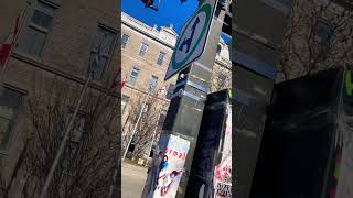 Mont Royal & Rivard, Good Friday 915