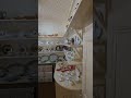 4K, Historical Ormiston House Interior Highlight #shorts #historichouse #australianhistory