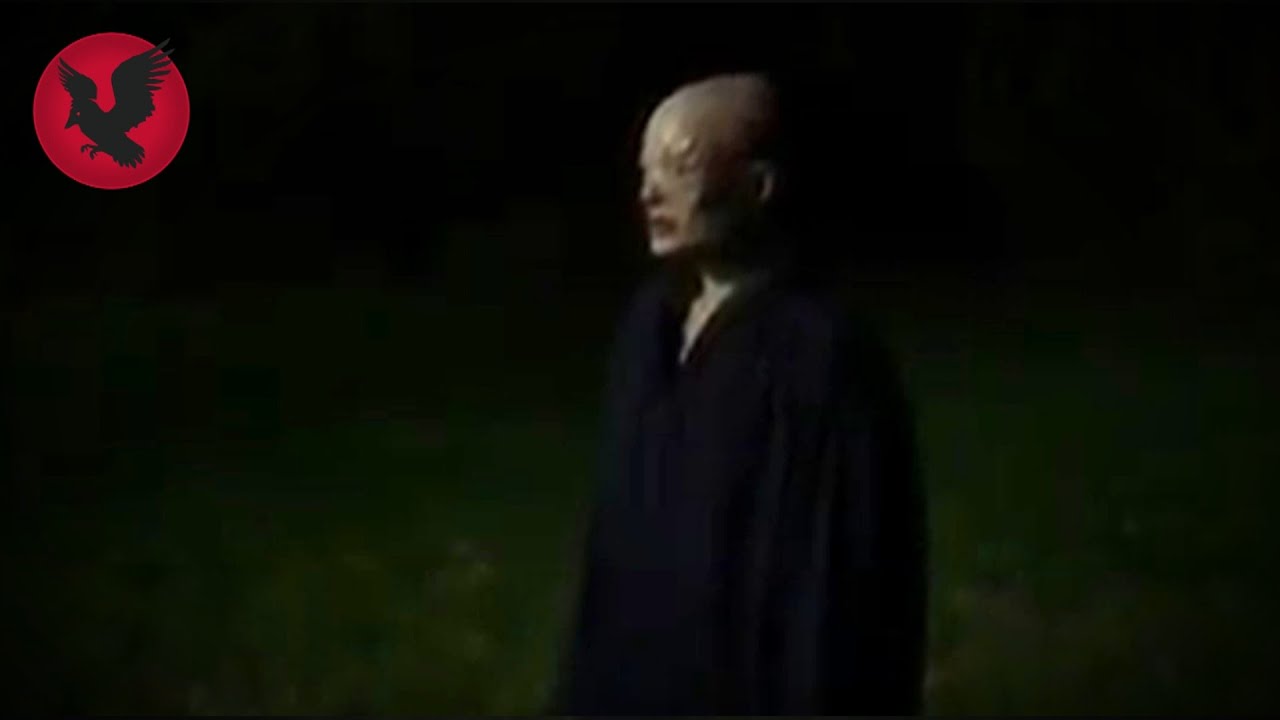 Het kijkt naar me zonder ogen - Het @Gr3gory88 Twitter verhaal