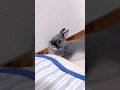 ママを見つけた子ウサギの反応が可愛すぎた　#shorts #うさぎ #rabbit