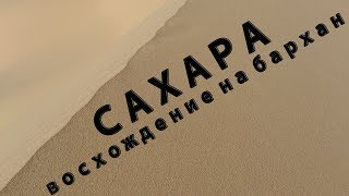 САХАРА. Лисья нора. Восхождение на бархан