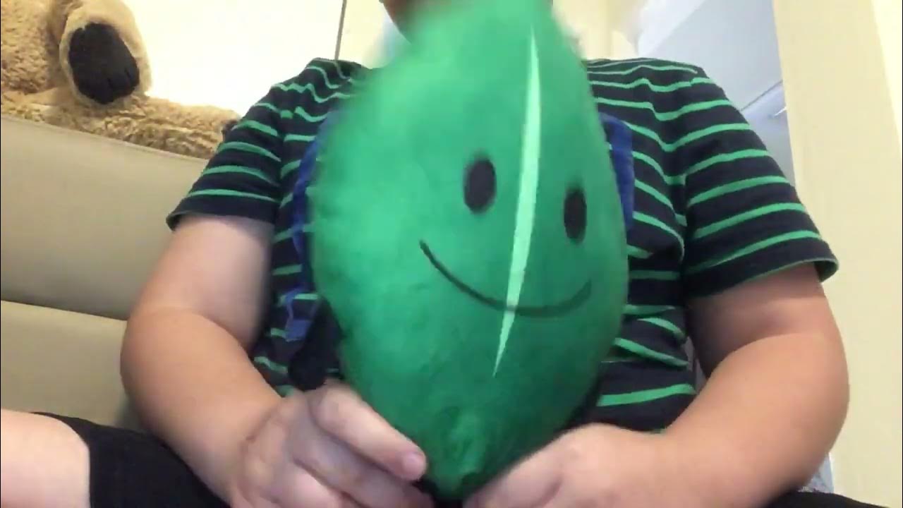 Unboxing leafy and Firey plush! (Bootleg) YouTube