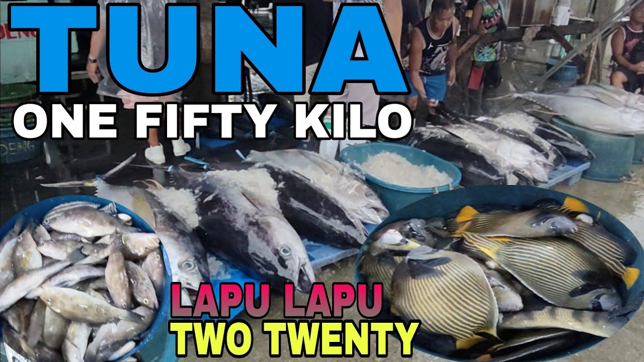 EPS. 23 NA PAMIMILI TUNA ONE FIFTY KILO|MARKET 3 NAVOTAS FISHPORT