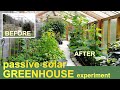 We built a passive solar GREENHOUSE | Here’s what happened