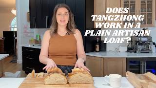 Does Tangzhong Work in a Plain Artisan Loaf?