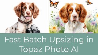 Batch Upsizing with Topaz Photo AI