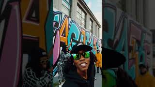 SWAG and YOLO AI #random #sora #swag #yolo #freestockvideoinsaneruediger