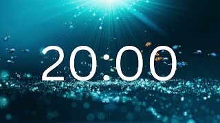 20 Minutes Timer With Relaxing Music