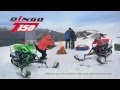 Купить Снегоход IRBIS DINGO T150 BIKE18 RU видео развлечения