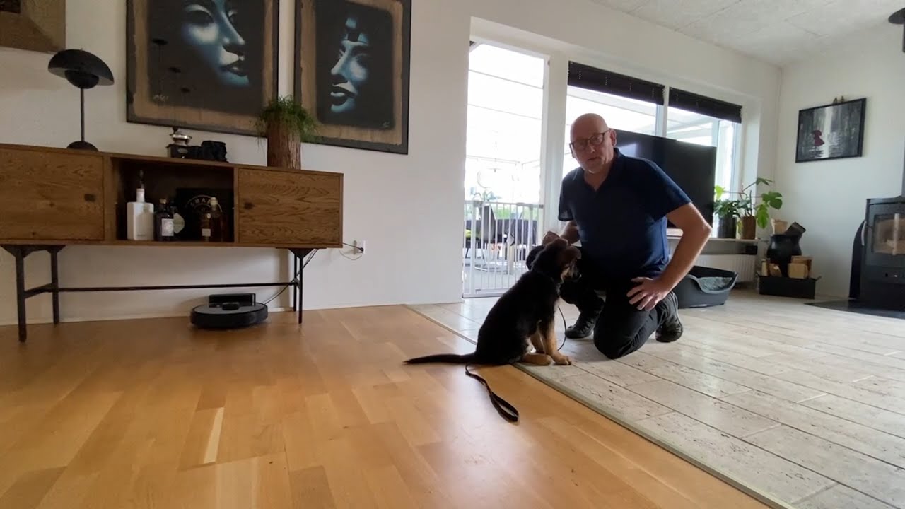 Lær din hvalp indkald og sit navn