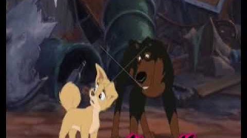 A.n.i.m.a.s.h ||-Face Down-|| ~Dedication to CartoonObsessor101~