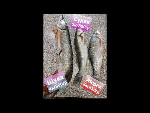 Троллинг для новичков - клёвая рыбалка! #троллинг #trolling #fishing