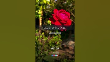 سورة الناس #المصحف #اكسبلور #القزابري #حالات_واتس #تيك_توك #راحة_نفسية #الطحان #الرحمن #العظماء