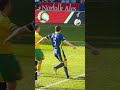 🇮🇪🐐