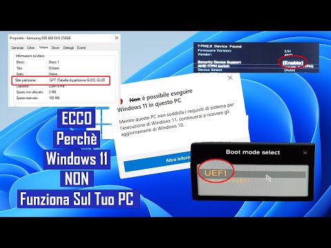 Video: Vice Sul Tuo PC