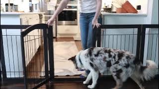 PAWLAND 144-inch Extra Wide 30-inches Tall Dog gate with Door Walk Through, Freestanding Wire pet