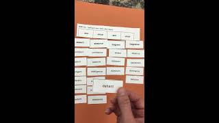 DR sort 50 suffixes -ence -ent -ant -ance