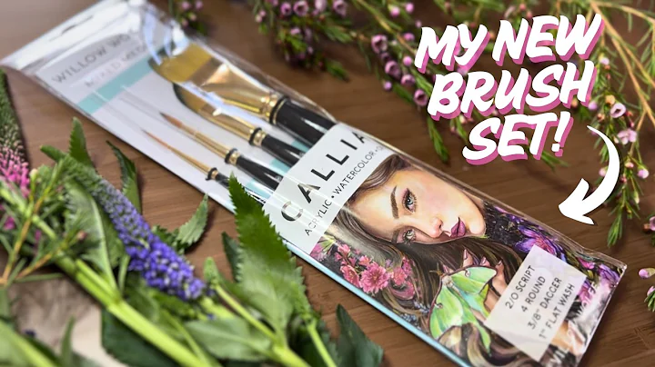 Behind the Scenes: Designing My Brush Set Packaging!