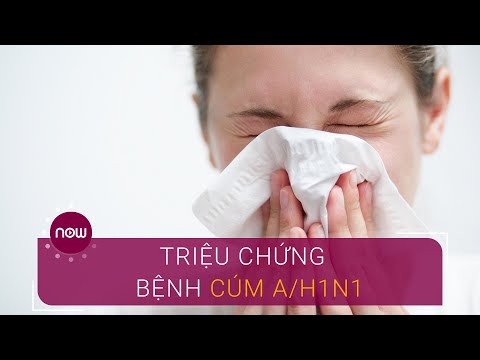 Video: Cúm Mèo - Nhiễm Cúm H1N1 ở Mèo - Các Triệu Chứng Của H1N1, Cúm Lợn