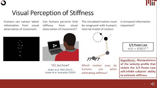 Role of path information in visual perception of joint stiffness