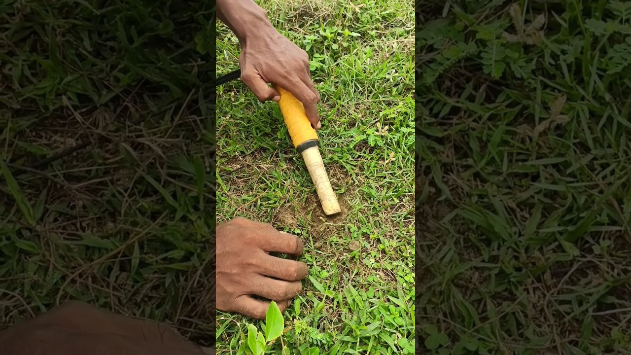 best pinpointer metal detector #shorts #short #youtubeshorts #youtube#treasurehunting #metaldetector