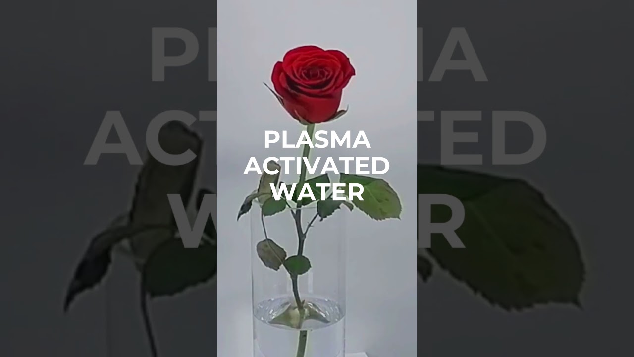 Henniker plasma video and application note announcement for Plasma Activated Water. 