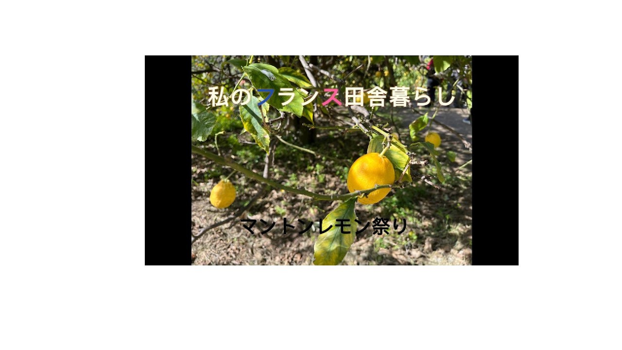 私のフランス田舎暮らし