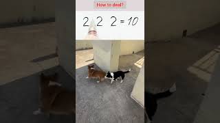 How 2 2 2 10 Tricks Thinking.