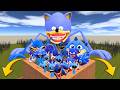 BIG MAZE GOLDEN ALL SHIN SONIC TAPES EXE AND SEA EATER SONIC FAMILY SPARTAN KICKING in Garry's Mod