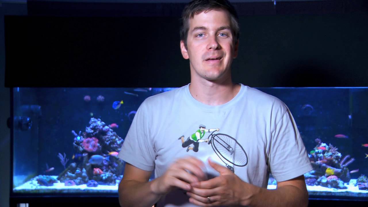how to videos on tiktok Mr. Saltwater Tank TV Friday AM Quick Tip #133: Fill That Test Kit Perfectly...Every Time