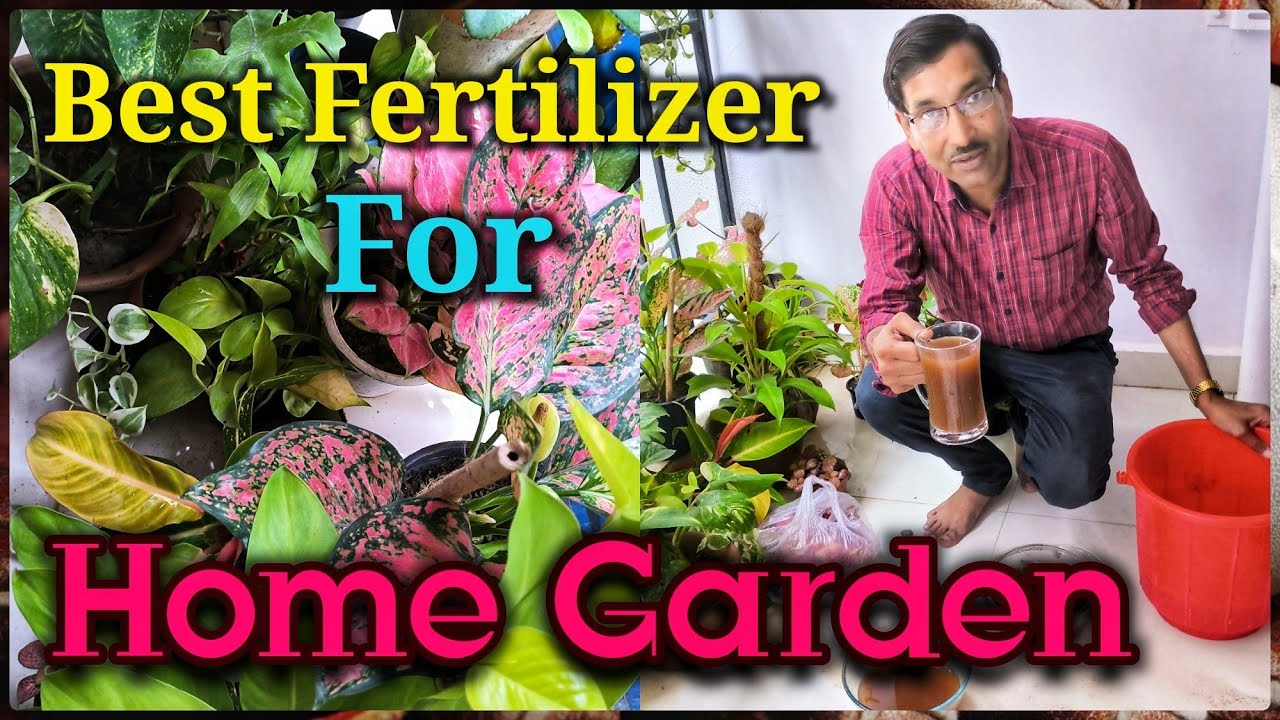 Prepare Best Quality Fertilizer at Home Easily Almost Free of Cost