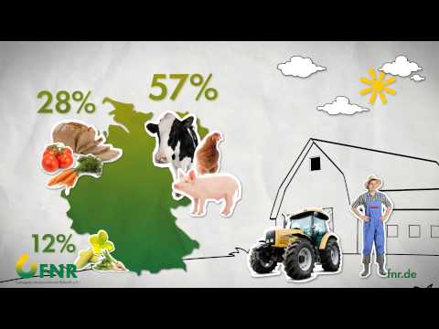 Video: Die Rolle Der Bioenergie In Der Deutschen Energiewende - Wessen Anforderungen Kann Die Bioenergie Erfüllen?