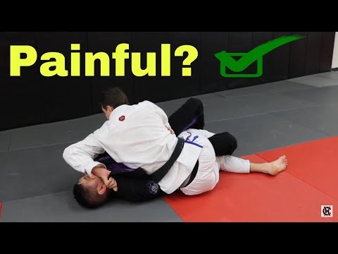 How I Like to Stop Half Guard Players in BJJ (gi)