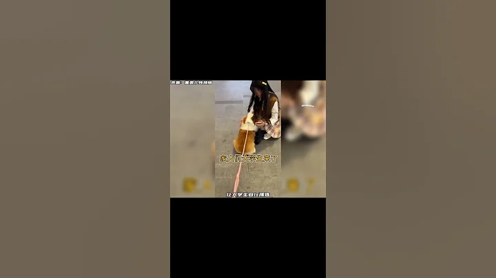 大学生这波操作太牛了，学生证换狗行动？！#大学生 #大学生遛狗 #这操作都看傻了 #搞笑 #萌宠 - 天天要闻