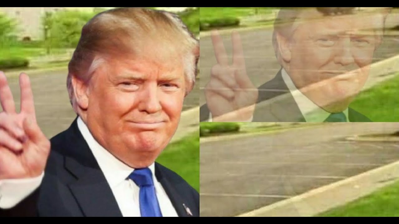 2020 Presidential Election Memes