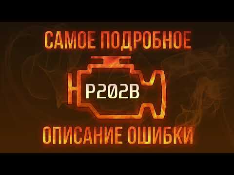 Код ошибки P202B, диагностика и ремонт автомобиля